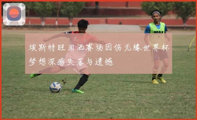 埃斯特旺泪洒赛场因伤无缘世界杯梦想深感失落与遗憾